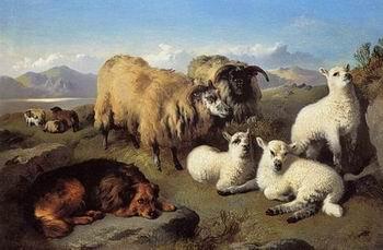 unknow artist Sheep 191